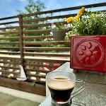 Hotel Pensio Solivent *